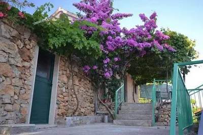 Tlocrt objekta Apartments with parking space Murvica, Brac - 23462