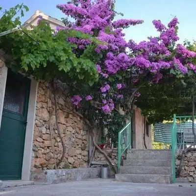 Apartments with parking space Murvica