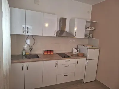 Kuhinja ili čajna kuhinja u objektu Studio apartman Bella