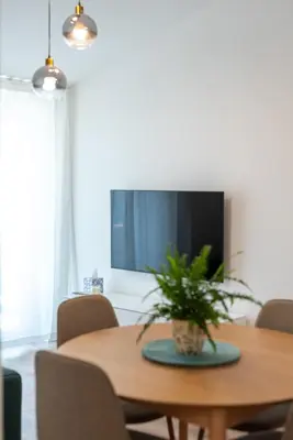 TV i/ili zabavni centar u objektu Sea view Apartment Livia