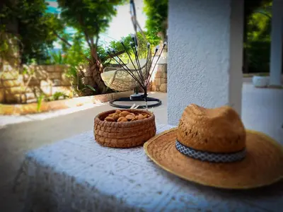 Vrt u objektu House Rinomeri