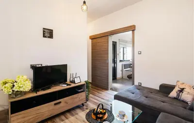 TV i/ili zabavni centar u objektu 1 Bedroom Beautiful Home In Dol Postira