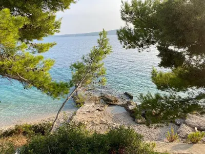 Priroda u blizini apartmana