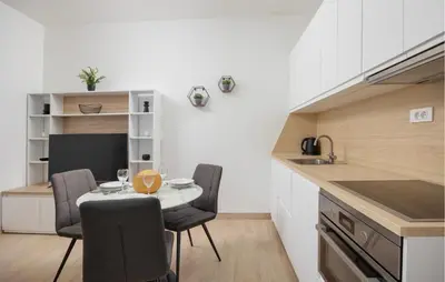 Kuhinja ili čajna kuhinja u objektu 1 Bedroom Beautiful Apartment In Podstrana