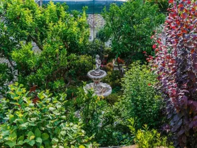 Vrt u objektu Apartments Roda - One Bedroom Apartment with Terrace Mira - ST