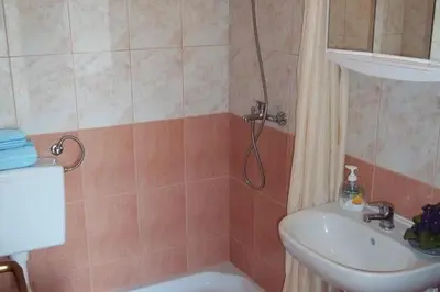 Kupaonica u objektu Holiday Home in Mirca with terrace
