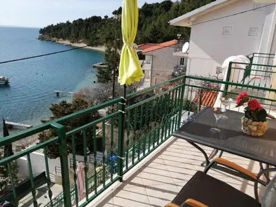 Priroda u blizini apartmana
