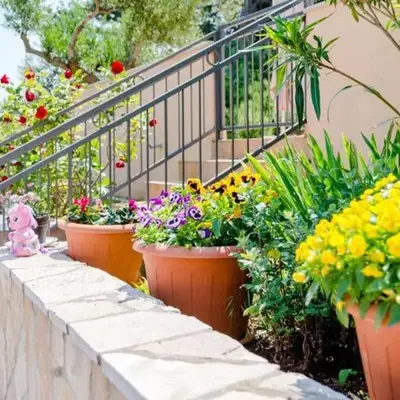 Apartment Lili- One Bedroom Apartment with Terrace ST