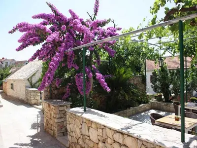 Vrt u objektu Apartments Paloc - One-Bedroom Apartment with Balcony Zeleni