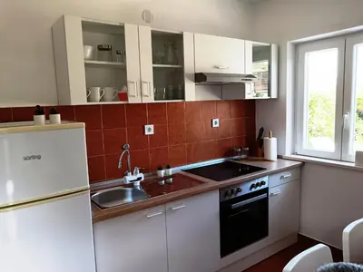 Kuhinja ili čajna kuhinja u objektu Apartments Villa Vanja