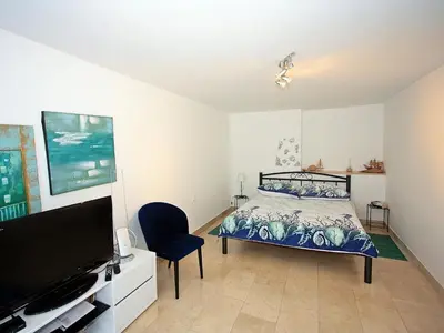 TV i/ili zabavni centar u objektu Apartment Zorica - One Bedroom Apartment with Terrace ST
