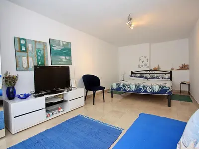 TV i/ili zabavni centar u objektu Apartment Zorica - One Bedroom Apartment with Terrace ST