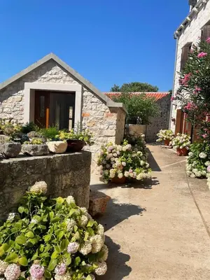 Vrt u objektu Villa Rosa, Dracevica 45, Brac