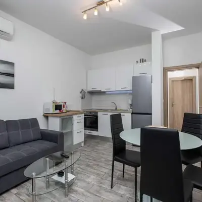Apartment Villa Andelka with Swimming Pool