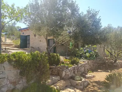 Vrt u objektu Robinson house Kata