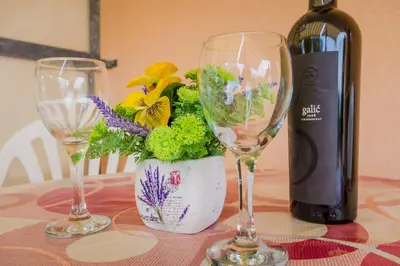 Pića u objektu Apartments Nives Suhi Potok