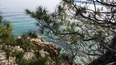 Priroda u blizini vikendica