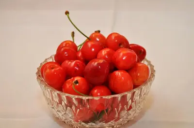 Hrana u apartmanu ili u blizini