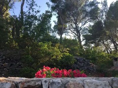 Vrt u objektu Vila Familia Hvar