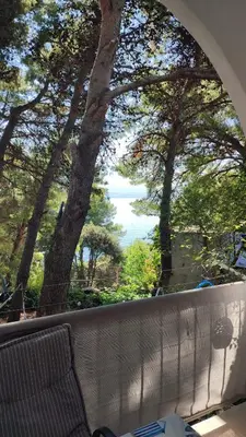 Priroda u blizini apartmana