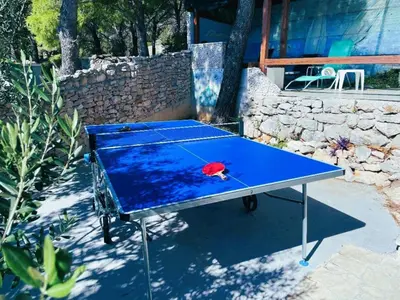 Stolni tenis u objektu Villa Casabianca ili u blizini