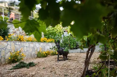 Vrt u objektu Villa Dusanka