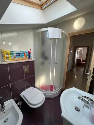 Kupaonica u objektu Apartments Bojka