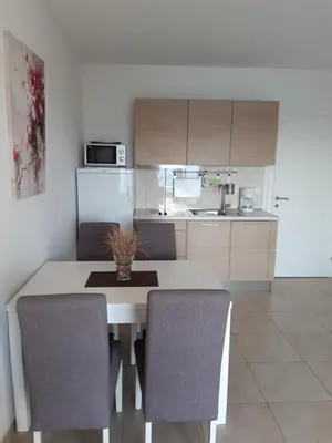 Kuhinja ili čajna kuhinja u objektu Apartmani Brela 9