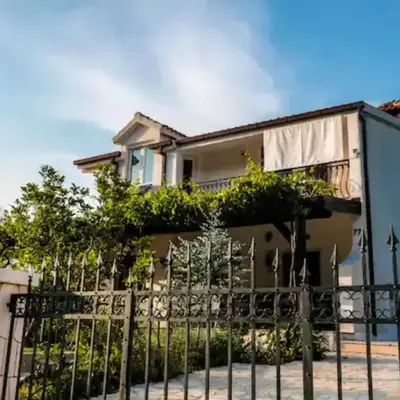 House of Green Experience