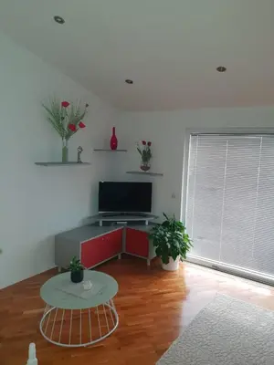 TV i/ili zabavni centar u objektu Apartments Rako M&I