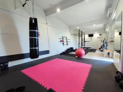 Fitness centar i/ili fitness sadržaji u objektu Villa Višnja Family