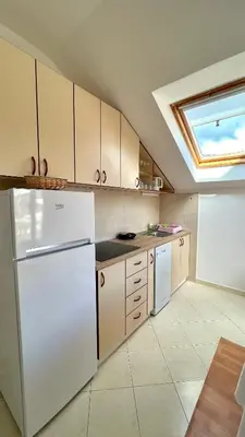 Kuhinja ili čajna kuhinja u objektu Apartments Neven
