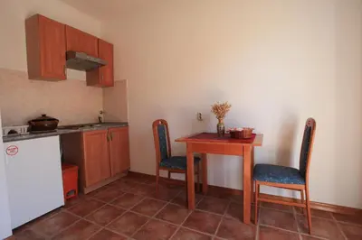 Kuhinja ili čajna kuhinja u objektu Apartments Pinus