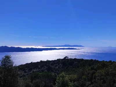Priroda u blizini apartmana