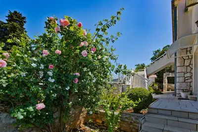 Vrt u objektu Apartments with parking space Hvar - 23674