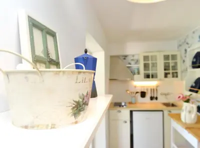 Kuhinja ili čajna kuhinja u objektu Bay House Rosohotnica