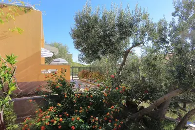 Vrt u objektu Apartments by the sea Brela, Makarska - 21803