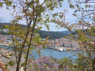 Priroda u blizini apartmana