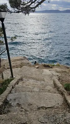 Priroda u blizini apartmana