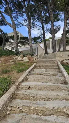 Priroda u blizini apartmana