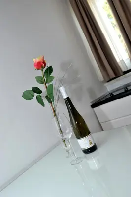 Pića u objektu Villa Tomislav 2