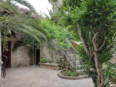 Vrt u objektu Seaside holiday house Sutivan, Brac - 23655