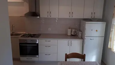 Kuhinja ili čajna kuhinja u objektu House Vrisnik