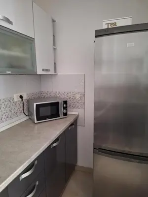 Kuhinja ili čajna kuhinja u objektu Apartment Karlo