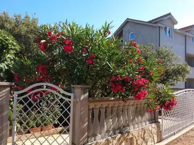 Vrt u objektu Apartments with parking space Rudina, Hvar - 23777