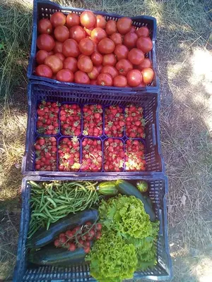 Tlocrt objekta Kuća za odmor Mirakul