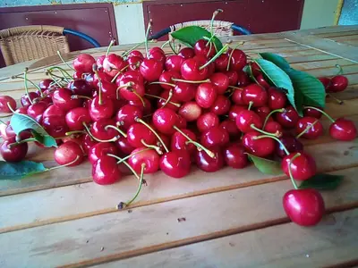 Tlocrt objekta Kuća za odmor Mirakul