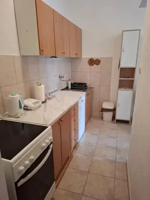 Kuhinja ili čajna kuhinja u objektu Studio Apartman Jarmila