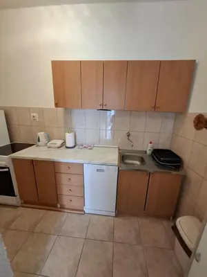 Kuhinja ili čajna kuhinja u objektu Studio Apartman Jarmila