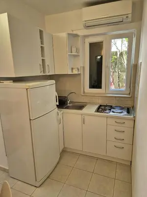 Kuhinja ili čajna kuhinja u objektu Apartments Vera Brela,Free private parking,sea view